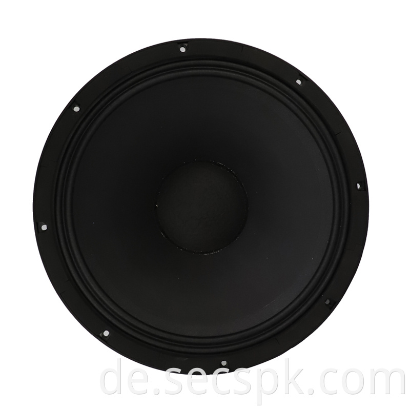 8ohm Party Stage Speaker